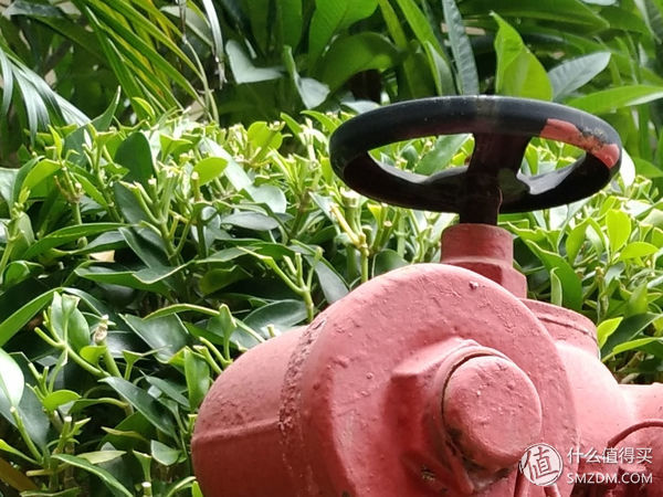 不吹不黑评测视频,不吹不黑手机体验