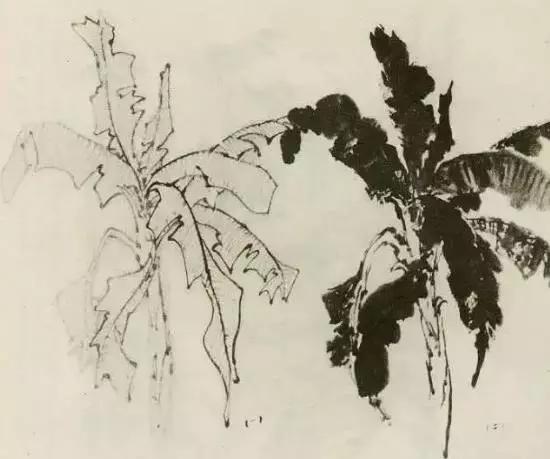 怎么画树最简单而且还最好看,怎么样才能画树画的最好看