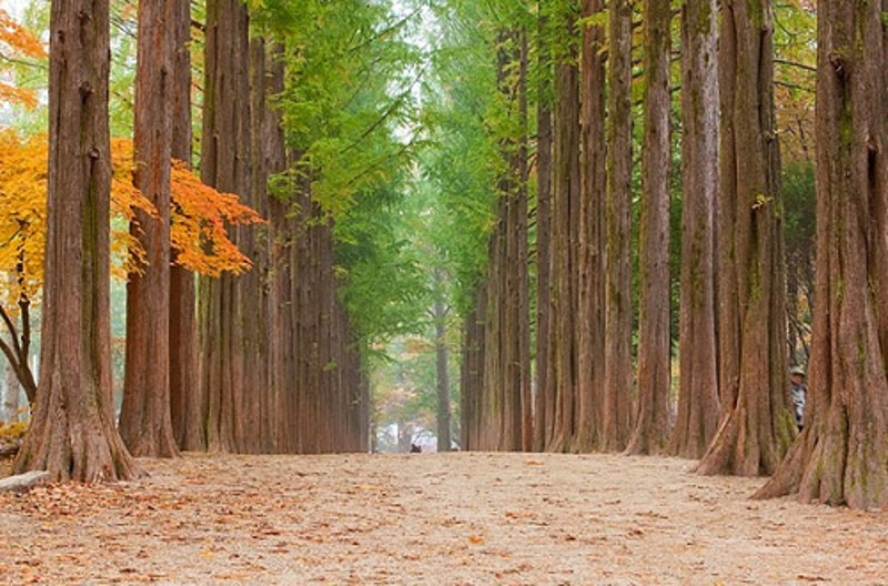 韩国旅游攻略畅游首尔五日四晚游,畅游首尔