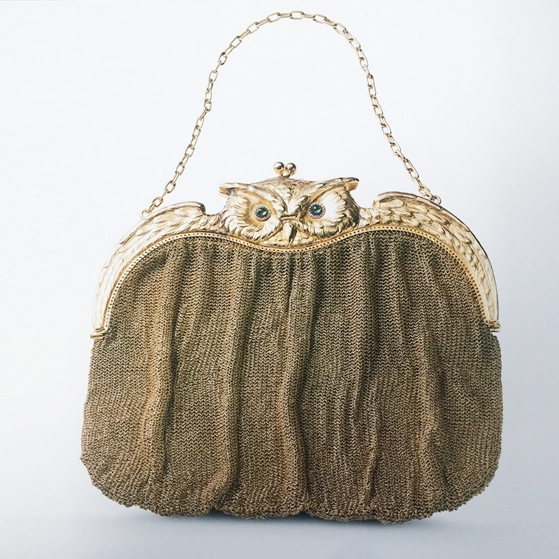 长知识升逼格｜来看看大蜥蜴国有多了不起