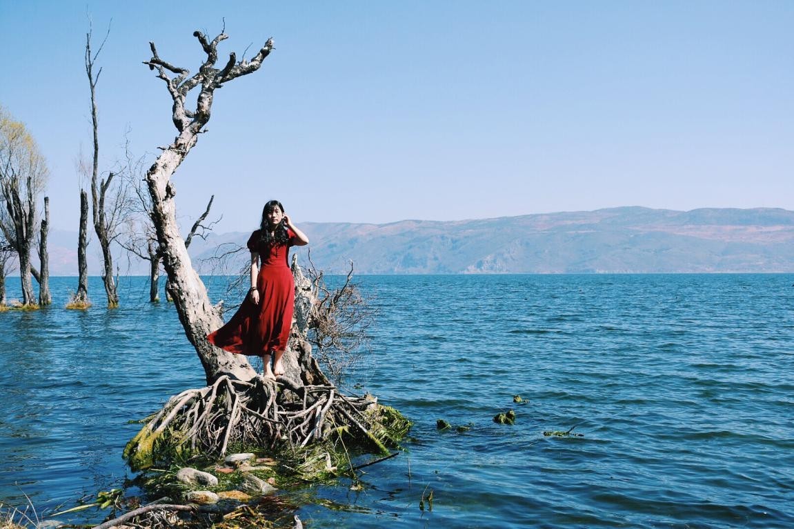 尼康d7200成片欣赏,尼康d7200一镜走天下