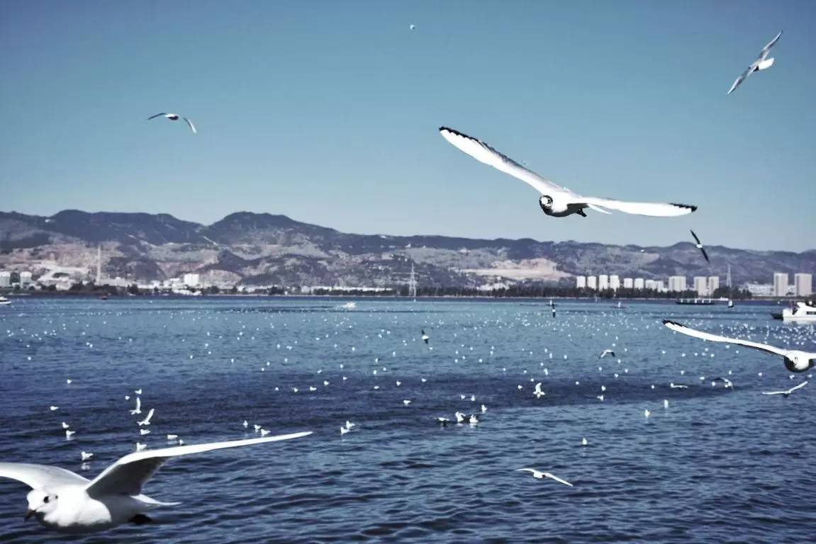 尼康d7200成片欣赏,尼康d7200一镜走天下