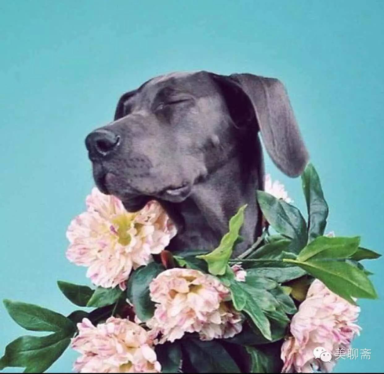 大咖|公关女王首次吐露心声！字字是血泪！句句是干货！