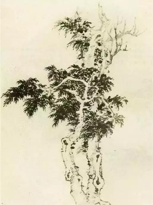 怎么画树最简单而且还最好看,怎么样才能画树画的最好看