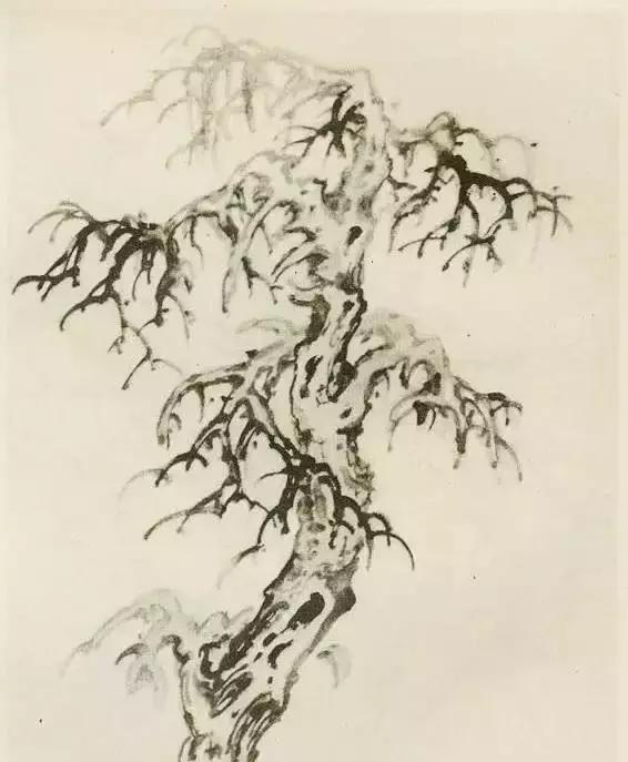 怎么画树最简单而且还最好看,怎么样才能画树画的最好看