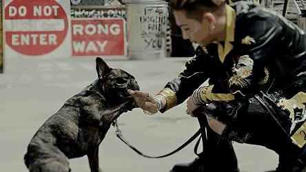 早秋休闲夹克推荐,港风复古横须贺夹克