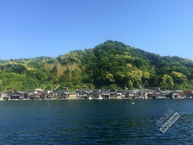 碉堡｜日本关西深度游最详细攻略！体验全日本最美的小渔村，吃嗨