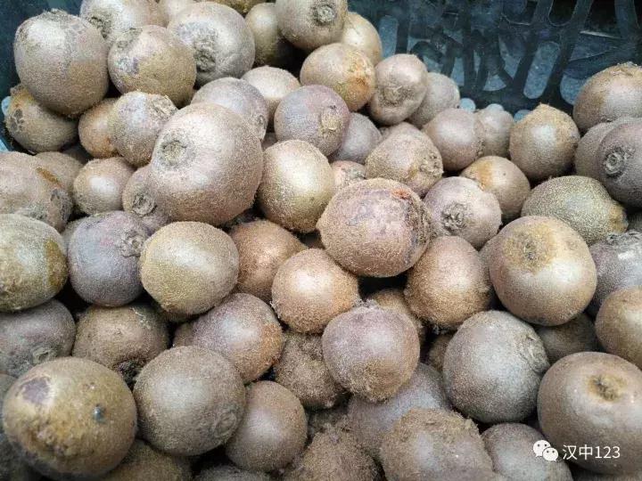 汉中光雾山最详细地点,光雾山旅游景区感受大自然