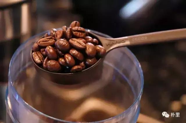 猫屎咖啡的由来和传说,传说中的猫咪咖啡