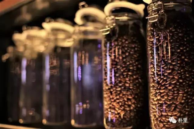 猫屎咖啡的由来和传说,传说中的猫咪咖啡