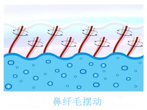 得了鼻炎有什么办法好得快,得了鼻炎怎么吃药