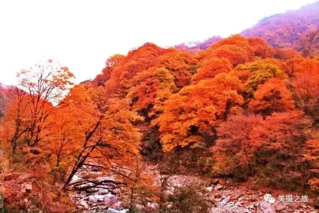 汉中光雾山最详细地点,光雾山旅游景区感受大自然