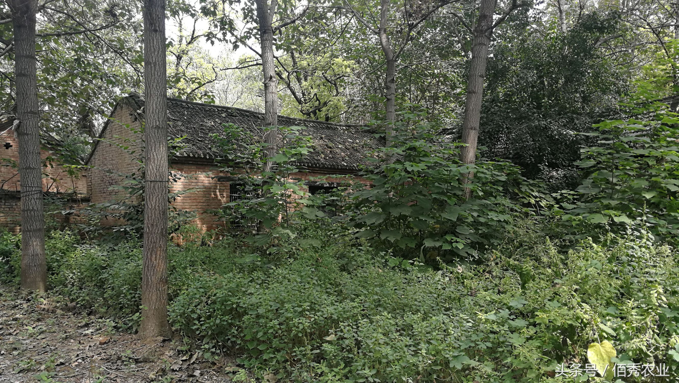 农村破房子有必要重新盖吗,老房子被拆了不盖房有禁忌