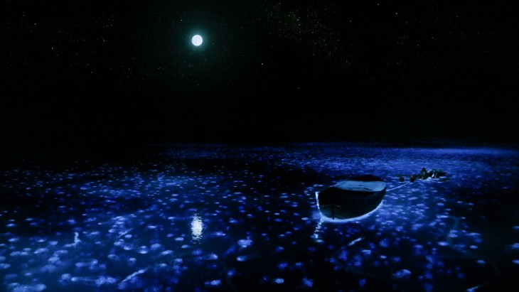 创维55寸防蓝光电视价格,创维防蓝光电视75寸有哪些型号