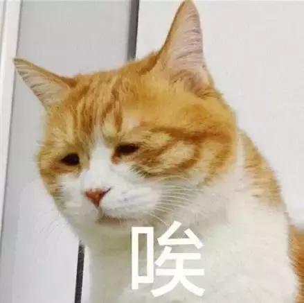 澳门四六级报名费,香港考四六级