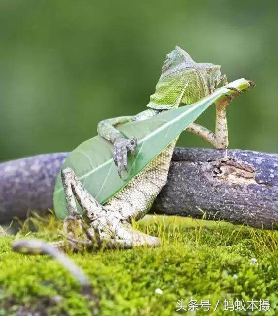 30张你一辈子也拍不到的照片,十种你一辈子都拍不到的照片