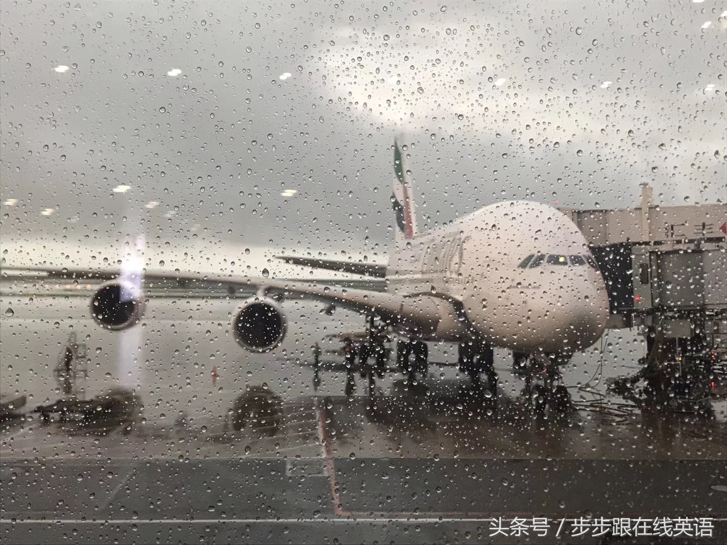 新概念2册34课quickwork (步步跟新概念第二册42课词汇语法)