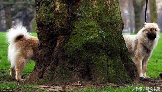 30张你一辈子也拍不到的照片,十种你一辈子都拍不到的照片