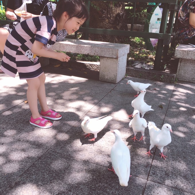 一场浪漫的三亚之旅,一场浪漫的三亚旅行
