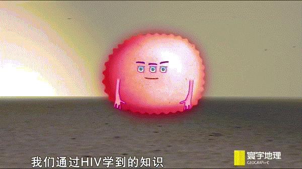 艾滋病毒能杀死新冠病毒吗,艾滋病毒能攻击淋巴癌吗