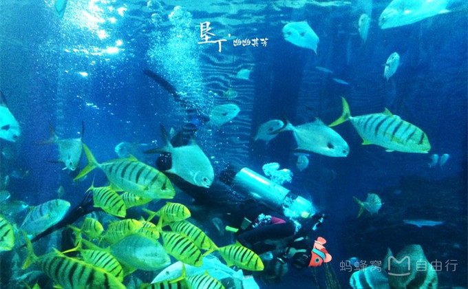 从垦丁到花莲东海岸线游览包车,高雄垦丁包车一日游路线