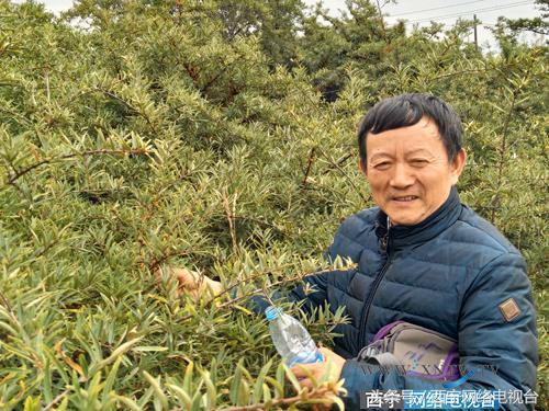 异乡客云南,异乡客西藏