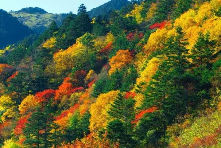 全国十一出行指南,宜昌十一黄金周出行攻略