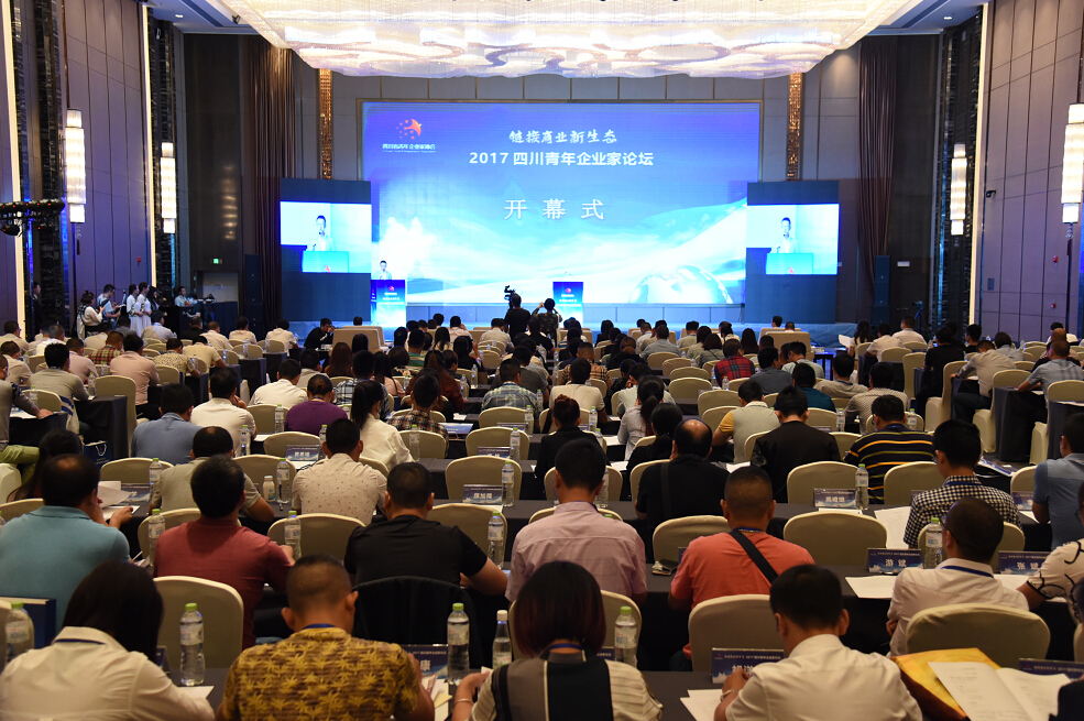 内江召开企业家座谈会,四川省民营经济发展论坛现场