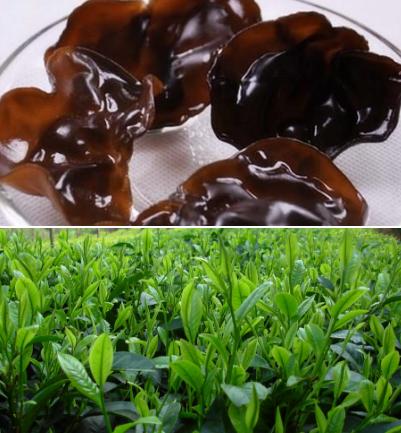 黑木耳和阿司匹林哪个更安全,黑木耳可以代替阿司匹林