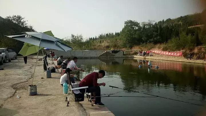 一群老大爷钓鱼,一群大爷岸上钓鱼