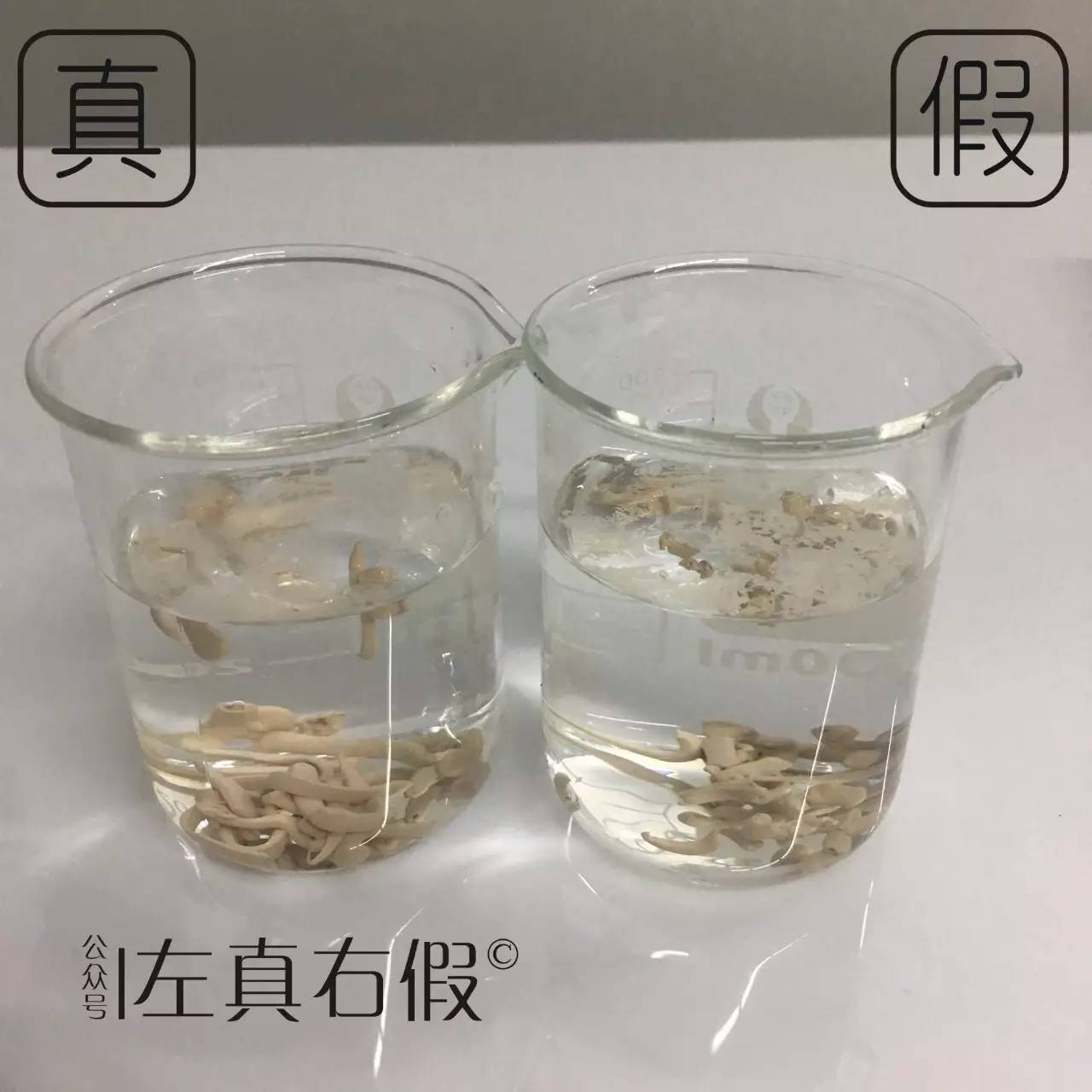 好的bb霜和差的bb霜的区别在哪里,推荐一款好的bb霜