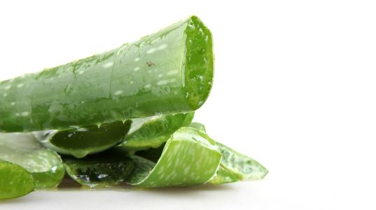 日本遭受原子弹的真相,日本遭受原子弹袭击后遗症