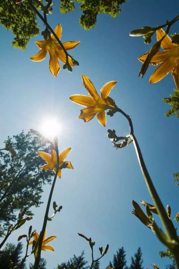 2022中秋高速免费吗,国外的高速公路免费吗