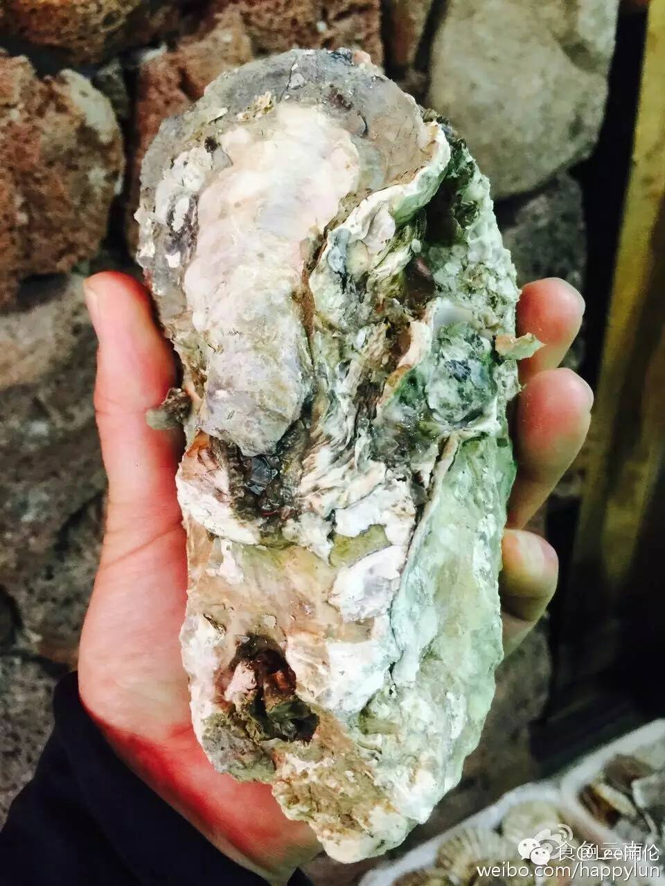 昆明最火爆火锅,昆明必吃蒸汽火锅