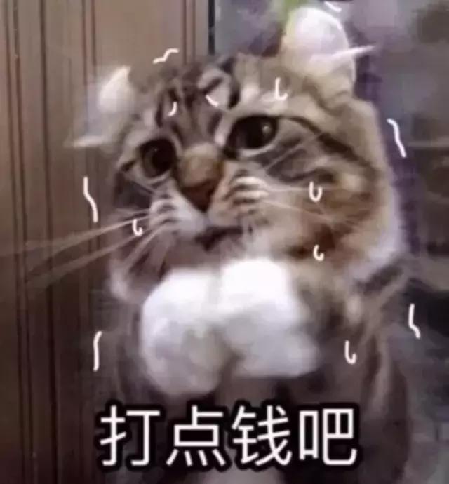 混油皮30以上秋冬抗老面霜,秋冬应该买什么面霜比较好