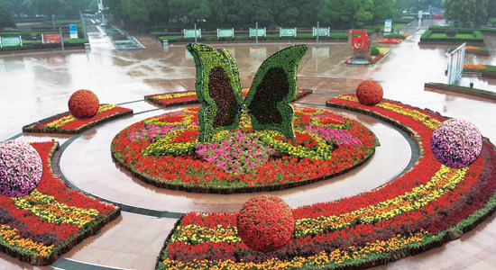 合肥2021年机动车号牌新号段,早安合肥包河区