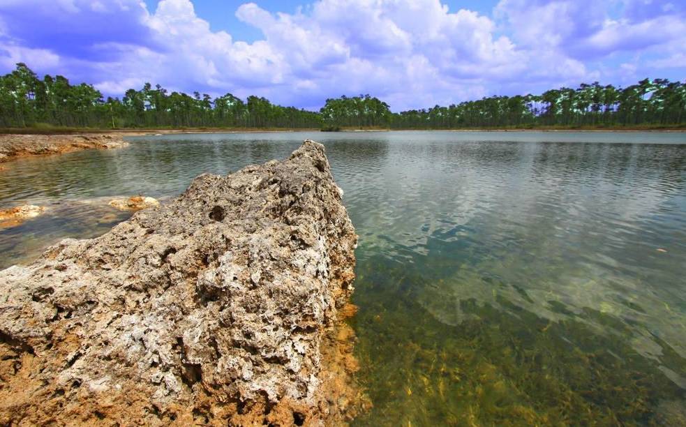 迈阿密五天四晚自驾攻略,迈阿密海滩一日游