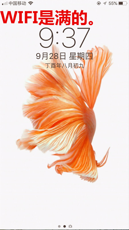 手机浏览器打不开网页是什么原因,手机连上wifi却打不开网页