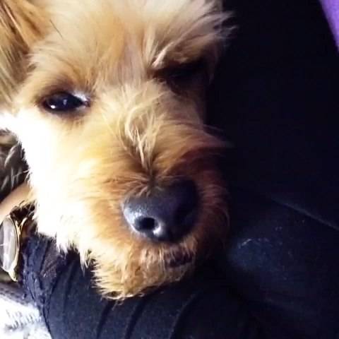 有什么方法不打瞌睡,一招不打瞌睡