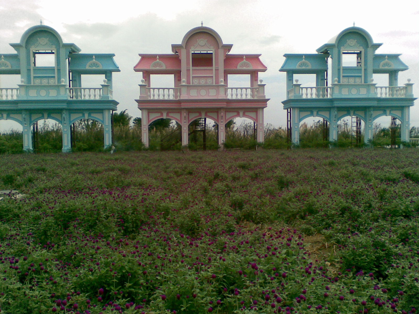 广州南沙百万葵园好不好玩,广州南沙百万葵园门票多少钱