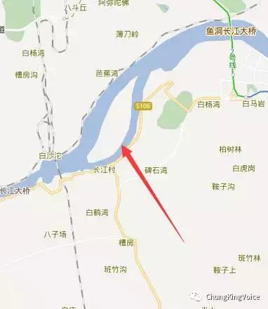 重庆桃花岛和中坝岛,重庆最大中坝岛