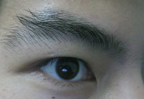 教你从眉毛看女人性格,女人的眉毛很重要