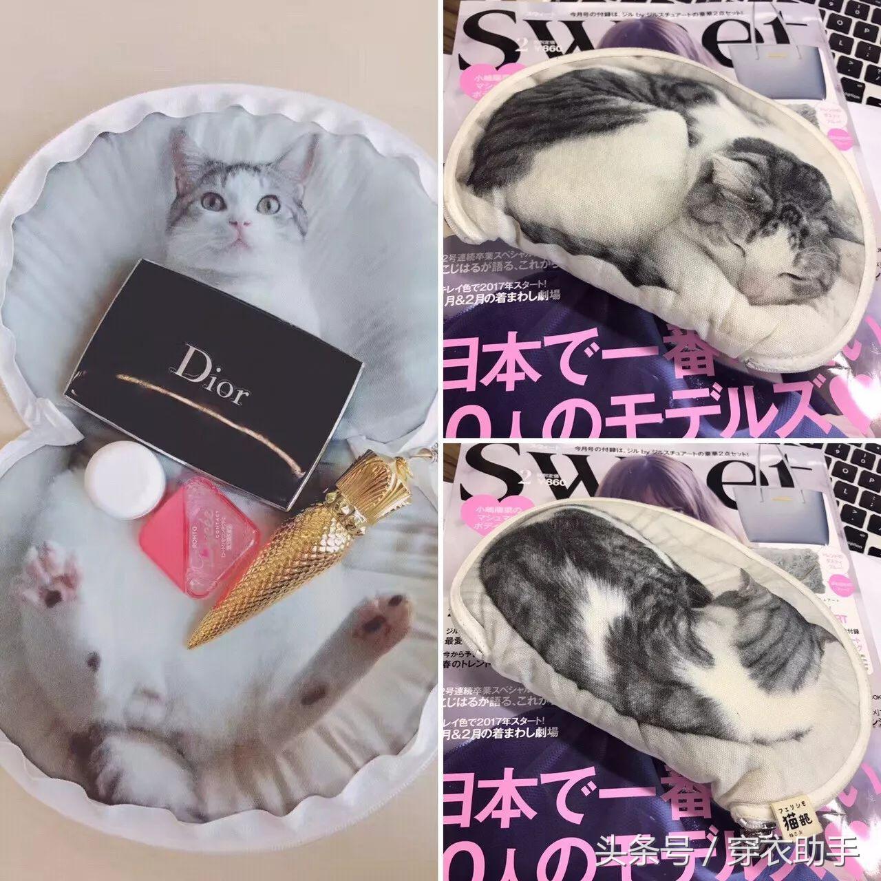 提升猫咪智商的玩具,提高猫咪的生活品质