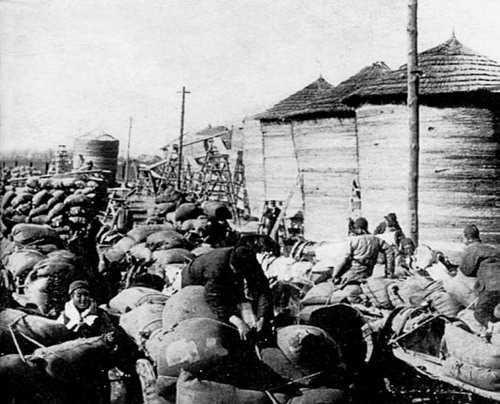 中国大米种植历史,中国大米是谁发明的