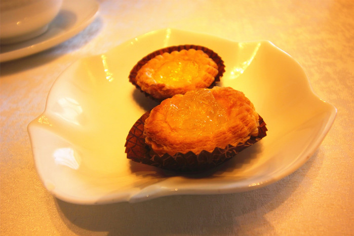 带着寻宝记游遍祖国大好河山,带着挖机去海边度假