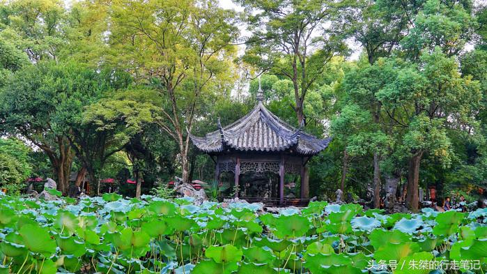 夜游南浔古镇感受江南水乡的美,江南六大古镇最值得一去的是南浔