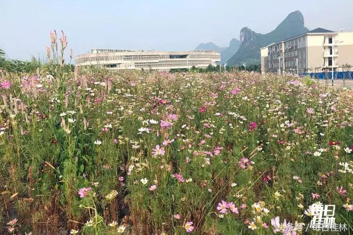久违了,我的桂林电子科技大学!