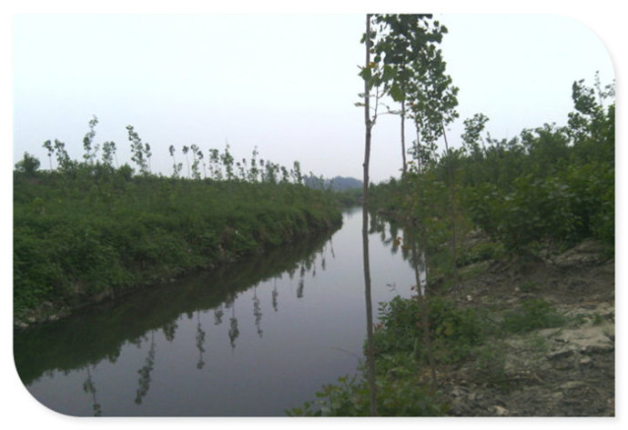 长安区马王镇新庄村,西安市古村古镇