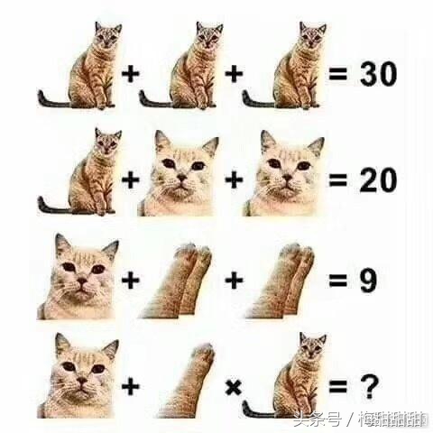 计算机等级考试可以使用快捷键吗,怎样备考计算机等级证书