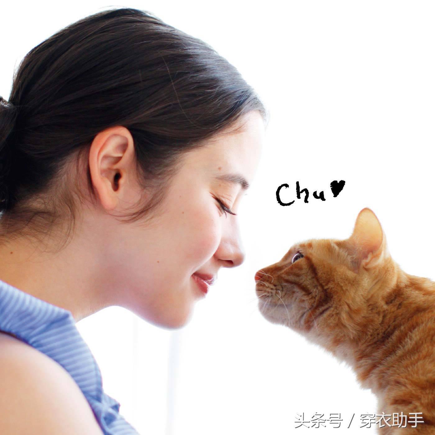 提升猫咪智商的玩具,提高猫咪的生活品质